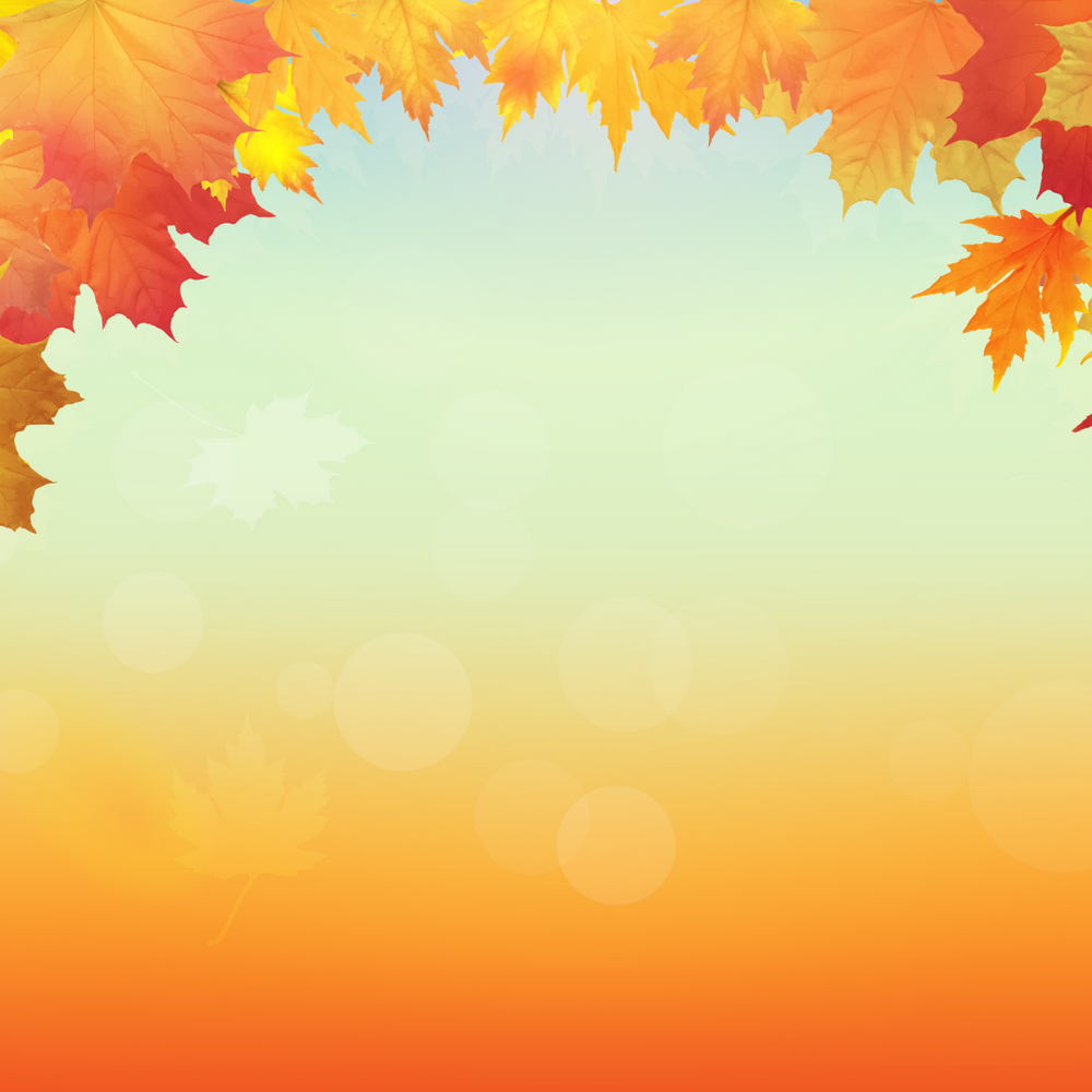 Foodie Olympics - Thanksgiving Collection